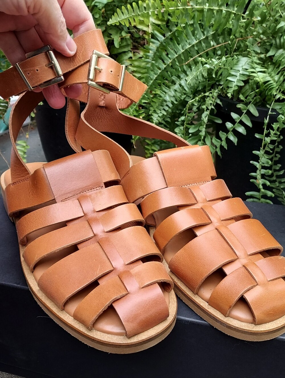 NIB Alohas Ankle-strap Fisherman Sandals In Tan